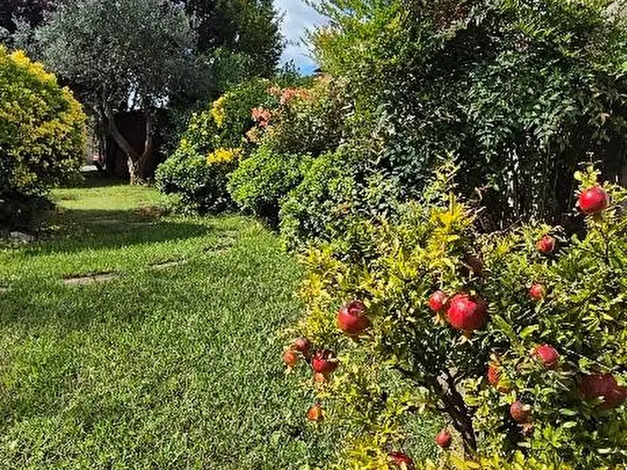 Immagine 5 di Villa in vendita  a Pisa