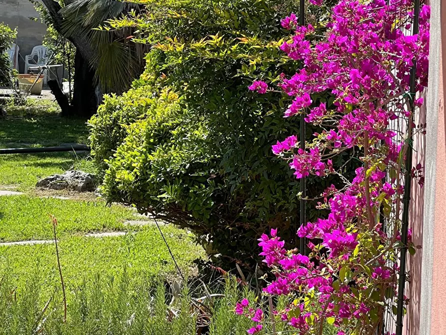 Immagine 4 di Villa in vendita  a Pisa