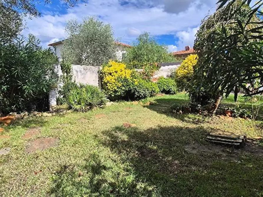 Immagine 6 di Villa in vendita  a Pisa