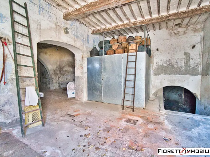 Immagine 32 di Porzione di casa in vendita  a Piombino