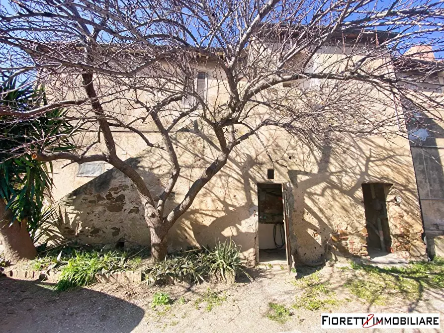 Immagine 2 di Porzione di casa in vendita  a Piombino