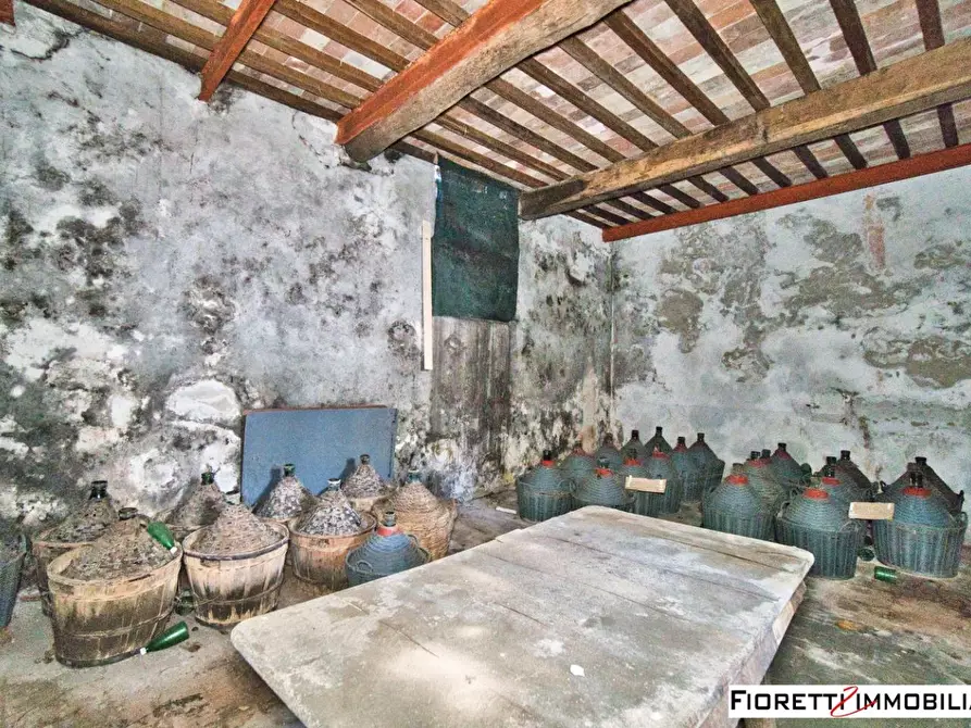 Immagine 28 di Porzione di casa in vendita  a Piombino