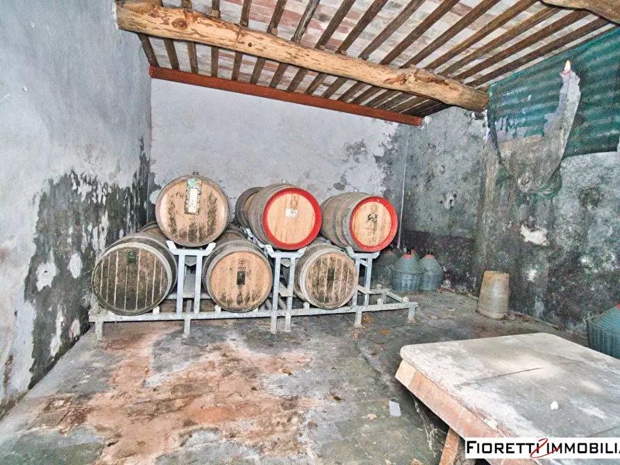 Immagine 27 di Porzione di casa in vendita  a Piombino