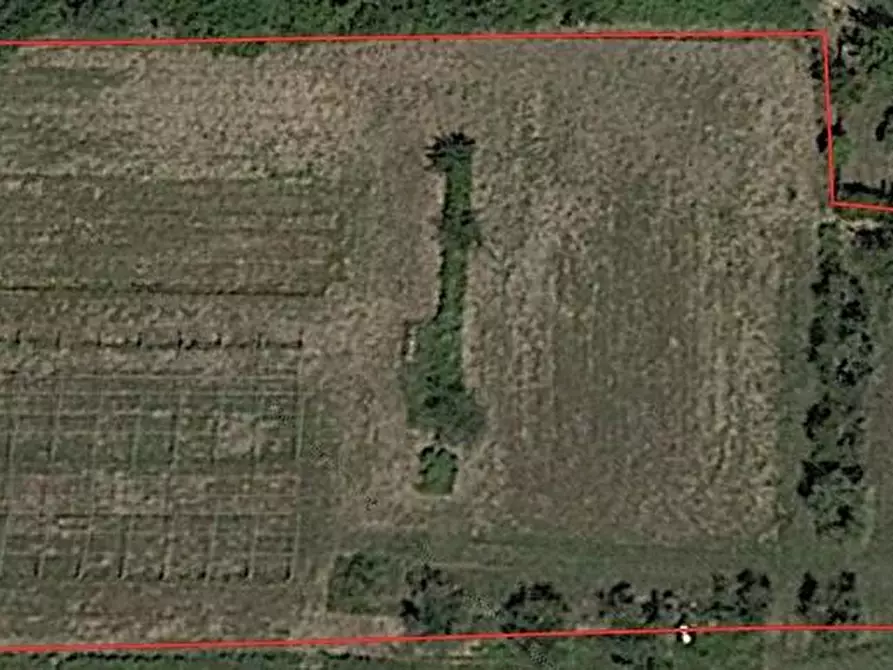 Immagine 7 di Porzione di casa in vendita  a Santa Croce Sull'arno