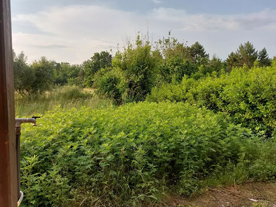Immagine 22 di Porzione di casa in vendita  a Santa Croce Sull'arno