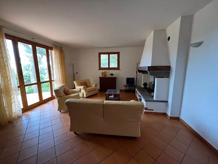 Immagine 19 di Villa in vendita  a Rosignano Marittimo