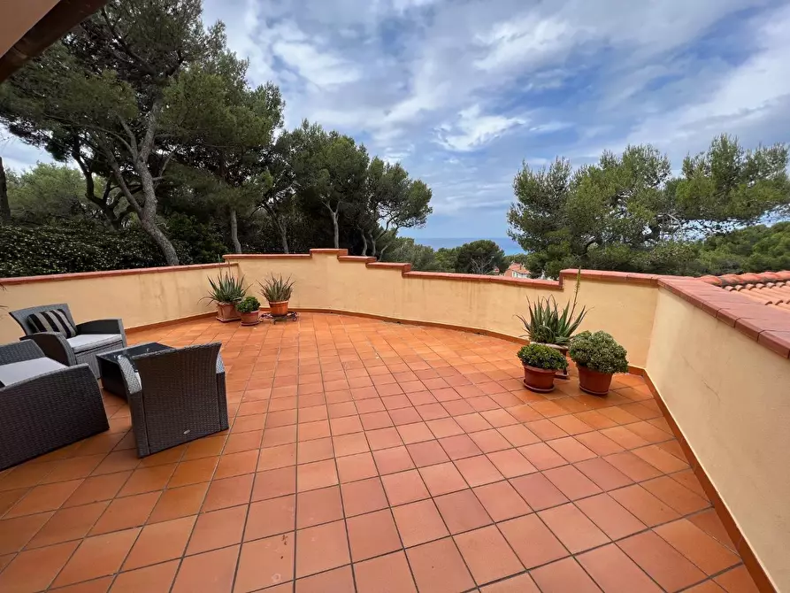 Immagine 4 di Villa in vendita  a Rosignano Marittimo
