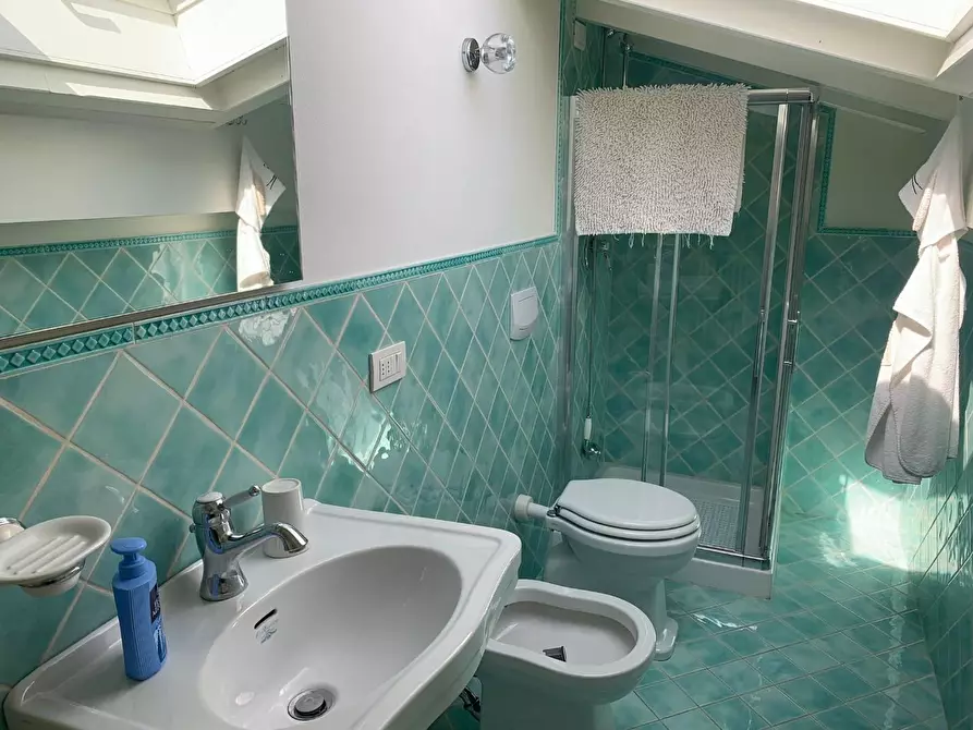 Immagine 20 di Villa in vendita  a Forte Dei Marmi