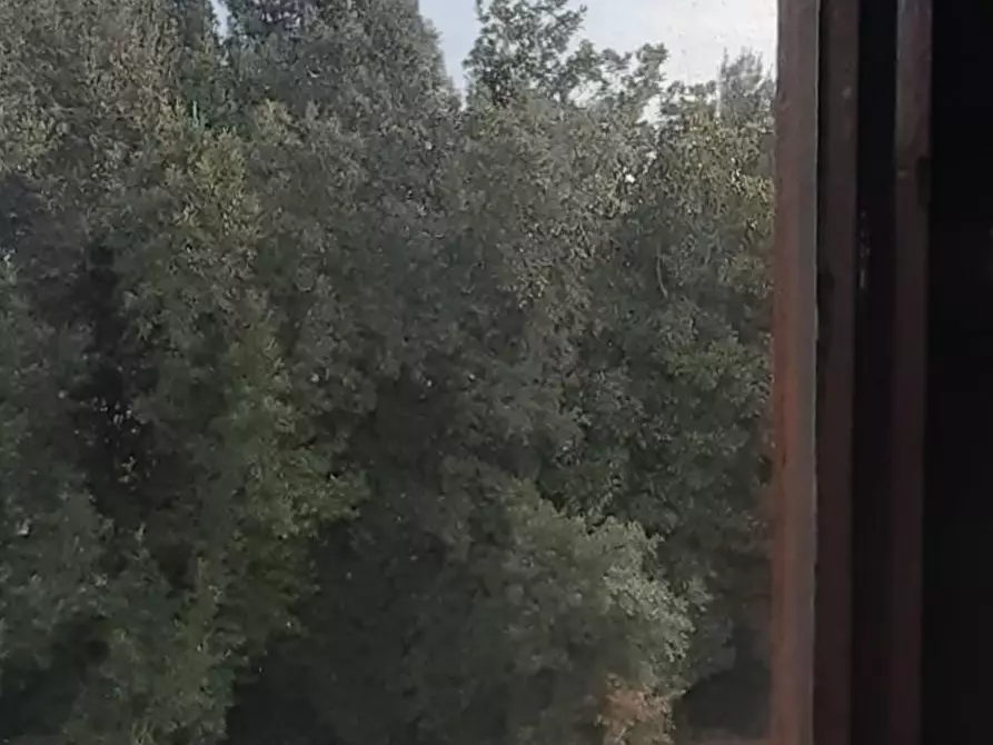 Immagine 8 di Villa in vendita  a San Miniato