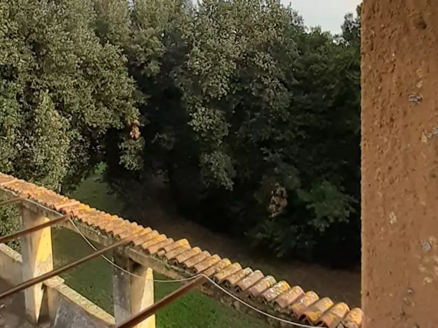 Immagine 9 di Villa in vendita  a San Miniato