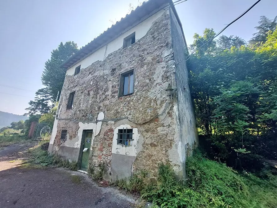 Immagine 27 di Villa in vendita  a Massarosa