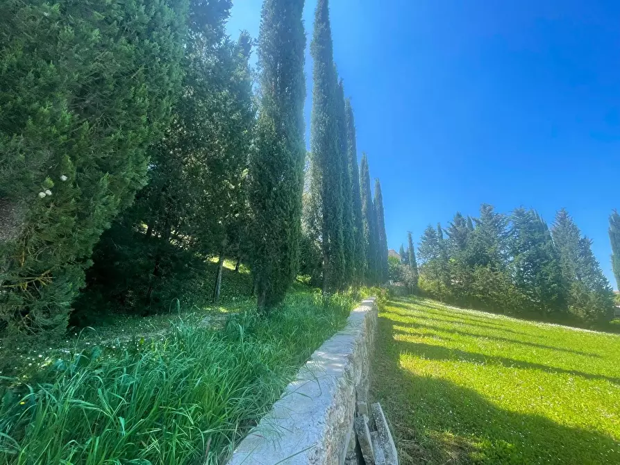 Immagine 52 di Casa colonica in vendita  a Asciano