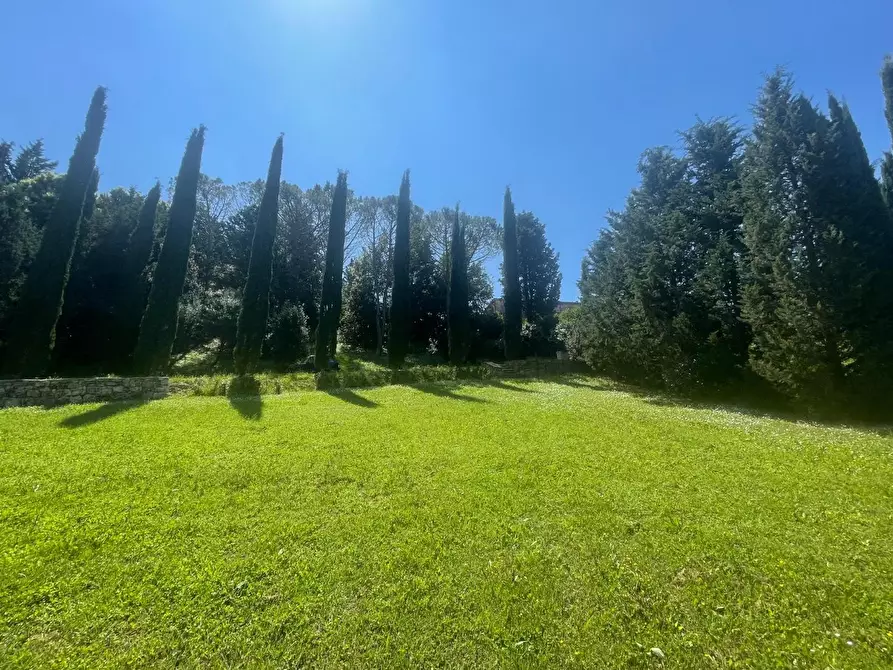 Immagine 55 di Casa colonica in vendita  a Asciano