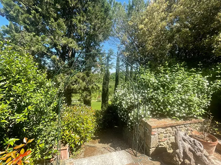 Immagine 54 di Casa colonica in vendita  a Asciano