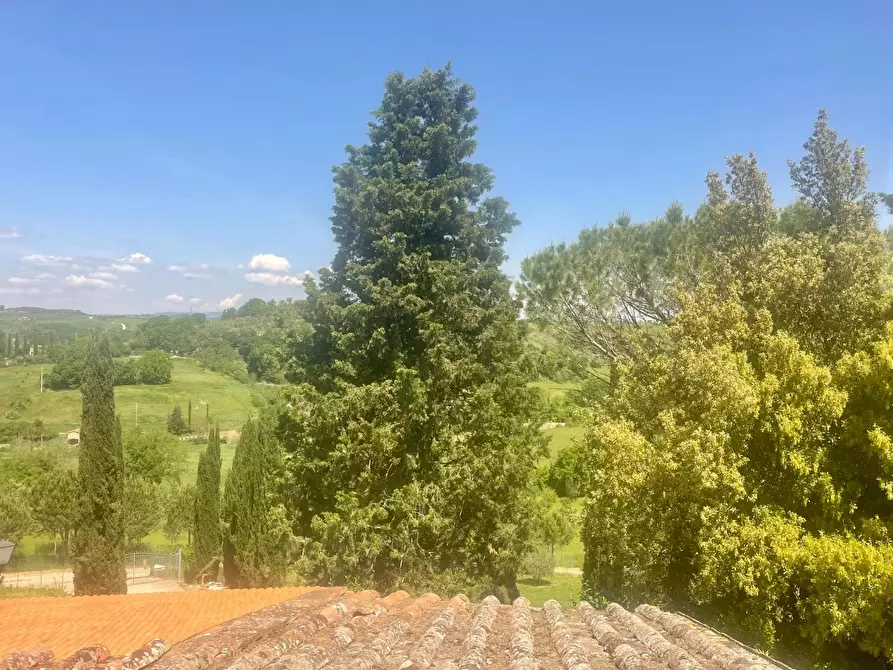 Immagine 51 di Casa colonica in vendita  a Asciano