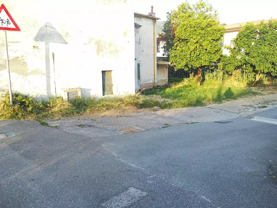 Immagine 10 di Terratetto in vendita  a Massa