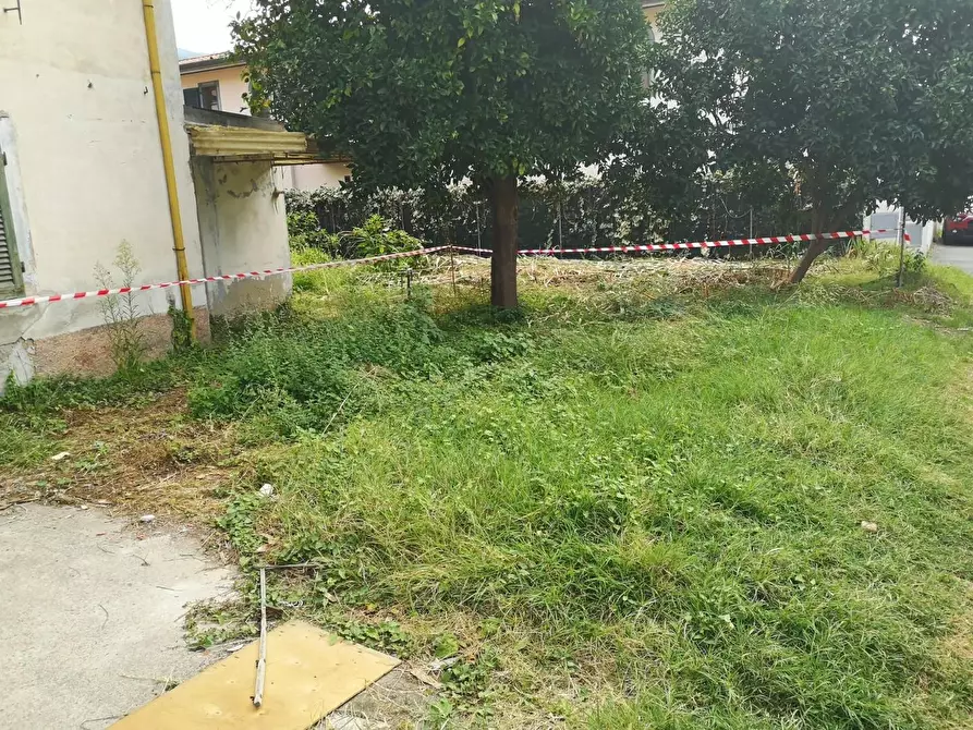 Immagine 34 di Terratetto in vendita  a Massa