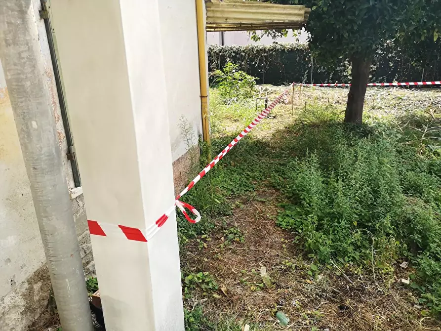 Immagine 37 di Terratetto in vendita  a Massa