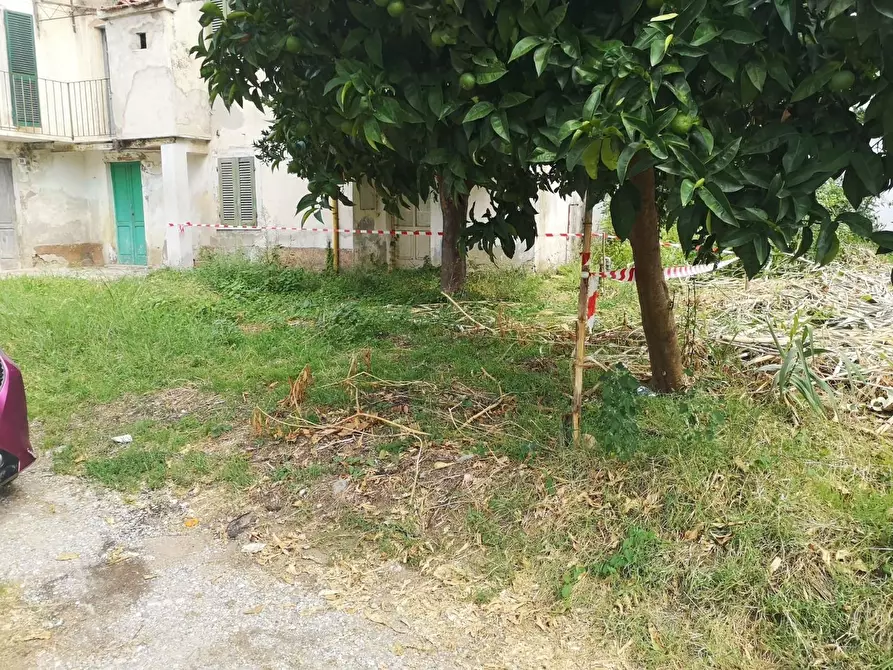 Immagine 35 di Terratetto in vendita  a Massa