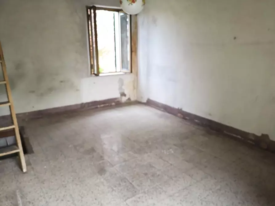 Immagine 14 di Terratetto in vendita  a Massa