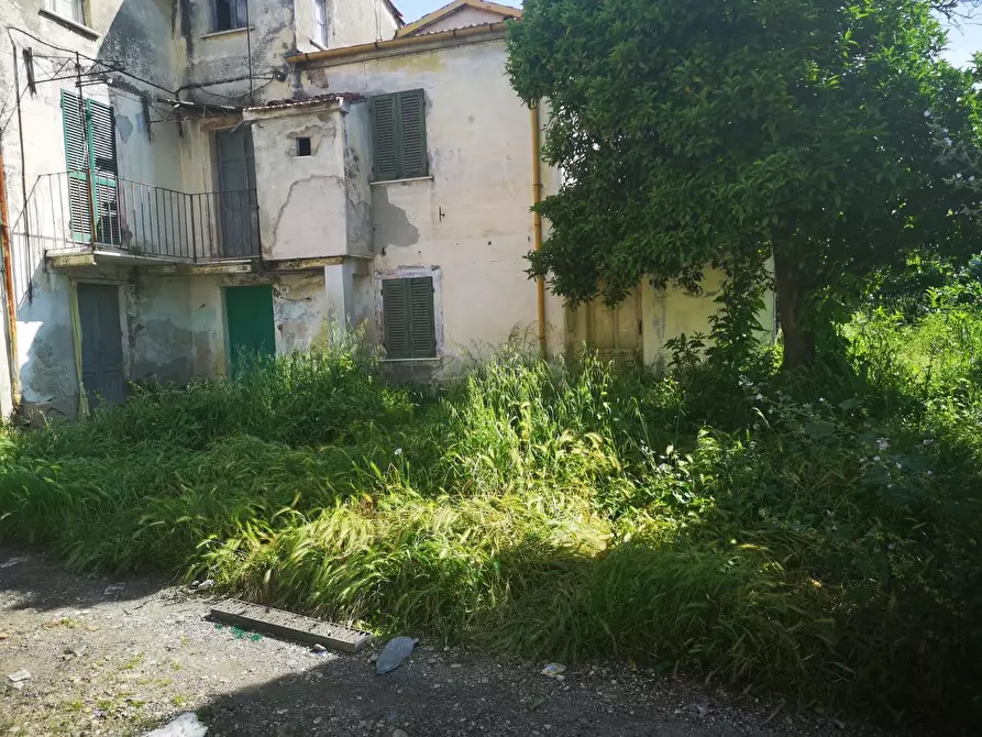 Immagine 3 di Terratetto in vendita  a Massa