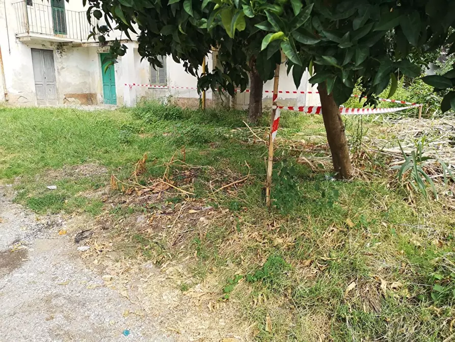 Immagine 36 di Terratetto in vendita  a Massa