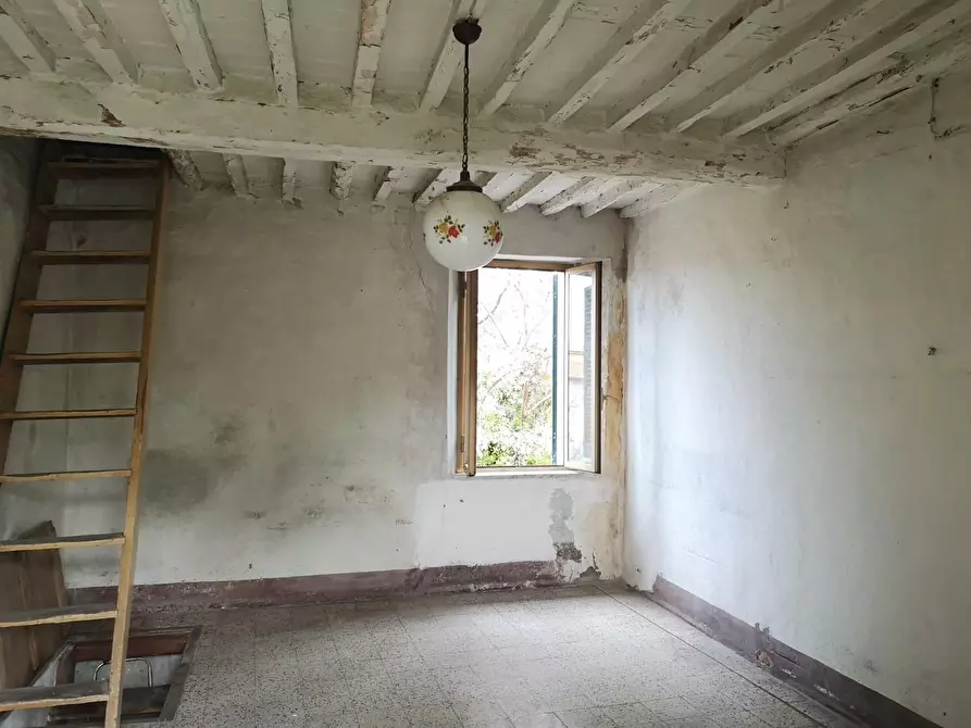 Immagine 15 di Terratetto in vendita  a Massa