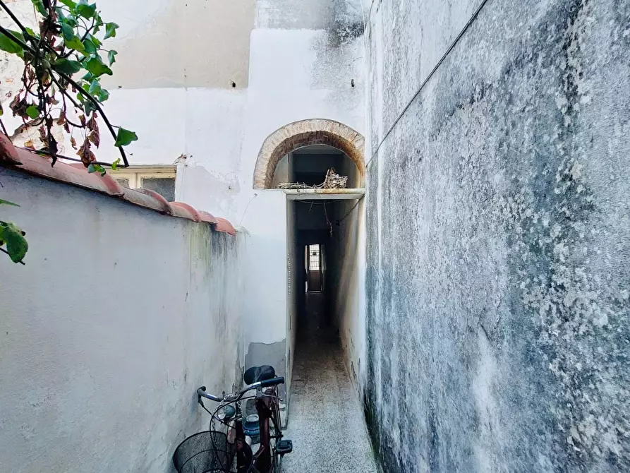 Immagine 29 di Villa in vendita  a Viareggio