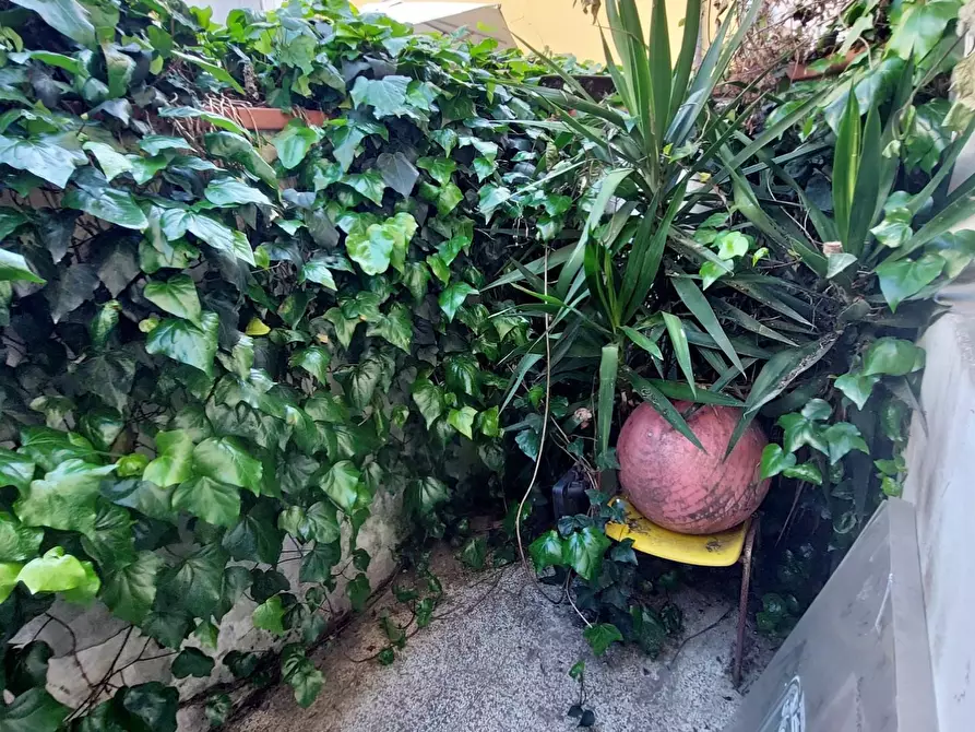 Immagine 24 di Villa in vendita  a Viareggio