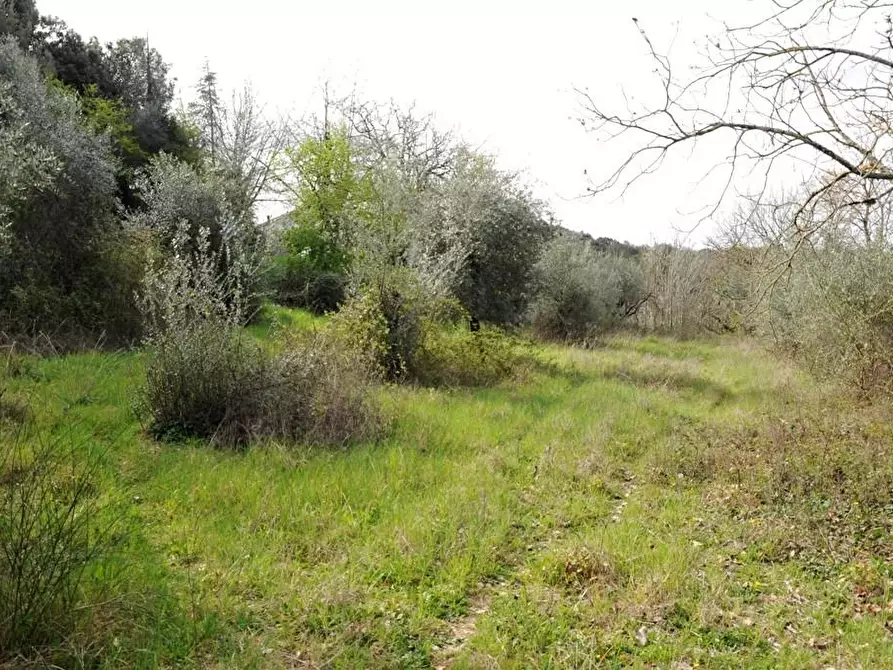 Immagine 54 di Casa bifamiliare in vendita  a Colle Di Val D'elsa