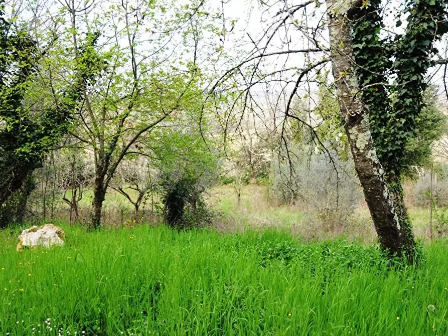 Immagine 55 di Casa bifamiliare in vendita  a Colle Di Val D'elsa