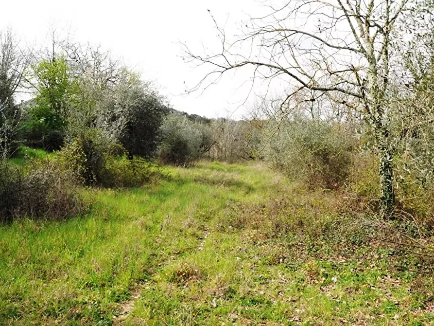 Immagine 53 di Casa bifamiliare in vendita  a Colle Di Val D'elsa