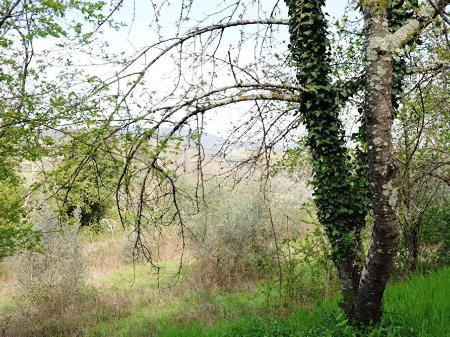 Immagine 56 di Casa bifamiliare in vendita  a Colle Di Val D'elsa
