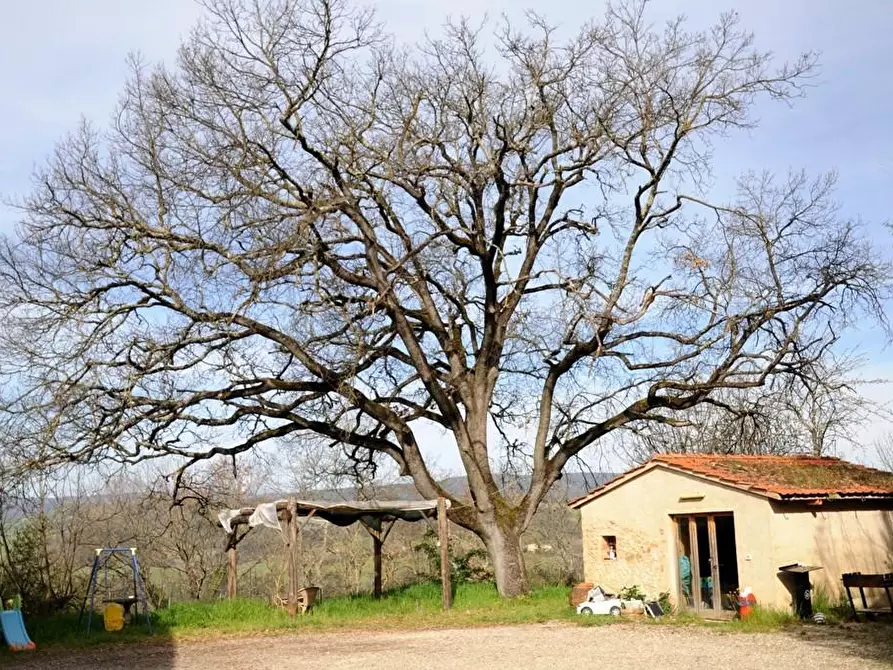 Immagine 46 di Casa bifamiliare in vendita  a Colle Di Val D'elsa