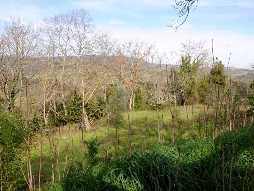 Immagine 49 di Casa bifamiliare in vendita  a Colle Di Val D'elsa