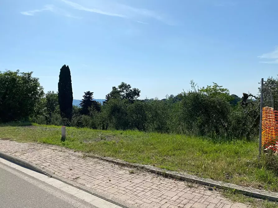 Immagine 1 di Terreno residenziale in vendita  a Terricciola