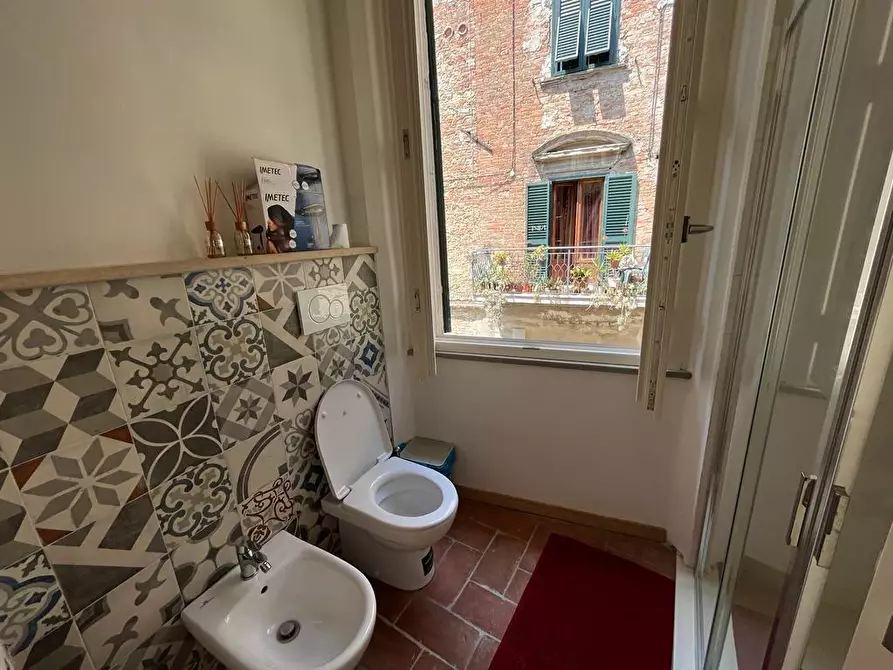 Immagine 11 di Appartamento in vendita  a Peccioli