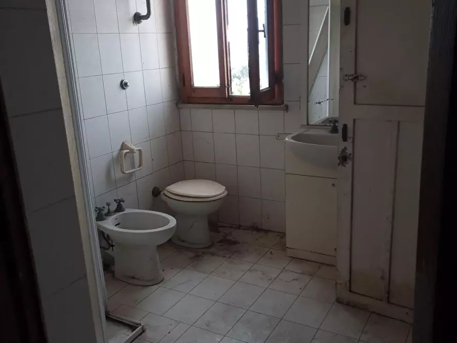 Immagine 21 di Appartamento in vendita  a Peccioli