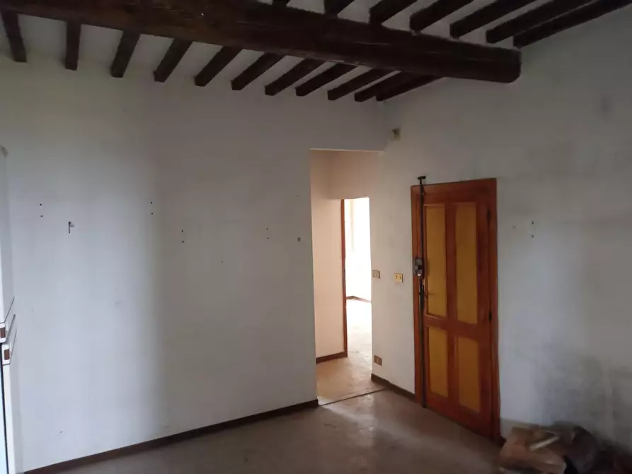 Immagine 11 di Appartamento in vendita  a Peccioli