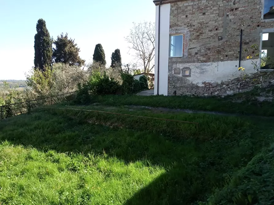 Immagine 2 di Appartamento in vendita  a Peccioli