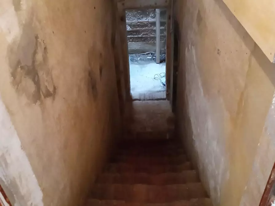 Immagine 7 di Appartamento in vendita  a Peccioli