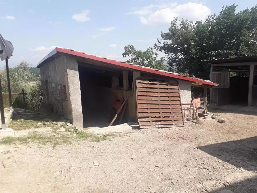 Immagine 6 di Rustico / casale in vendita  a Barberino Di Mugello