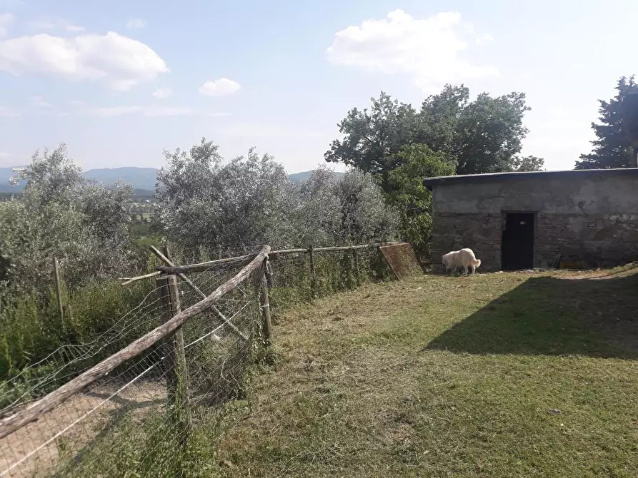 Immagine 12 di Rustico / casale in vendita  a Barberino Di Mugello