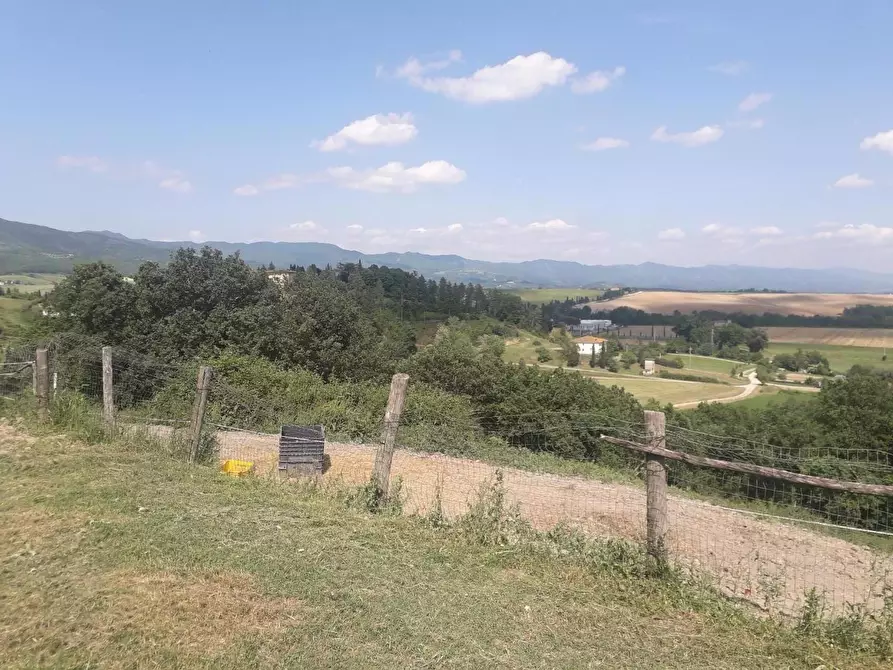 Immagine 8 di Rustico / casale in vendita  a Barberino Di Mugello