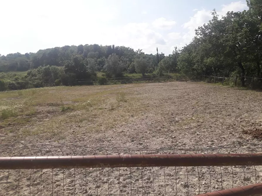 Immagine 9 di Rustico / casale in vendita  a Barberino Di Mugello