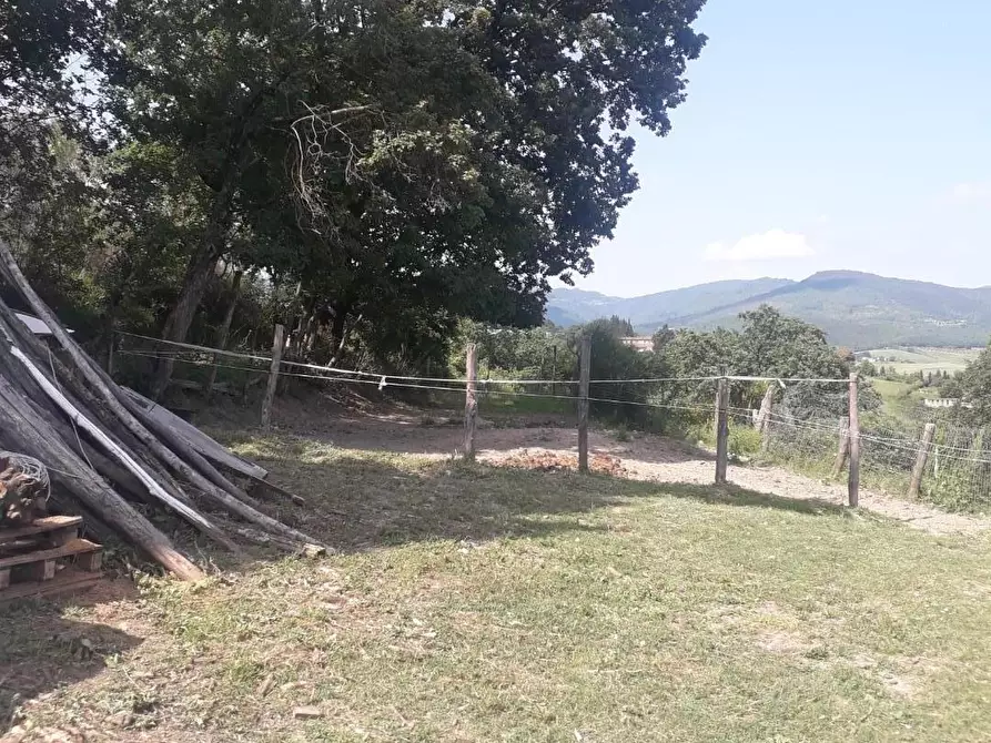 Immagine 11 di Rustico / casale in vendita  a Barberino Di Mugello