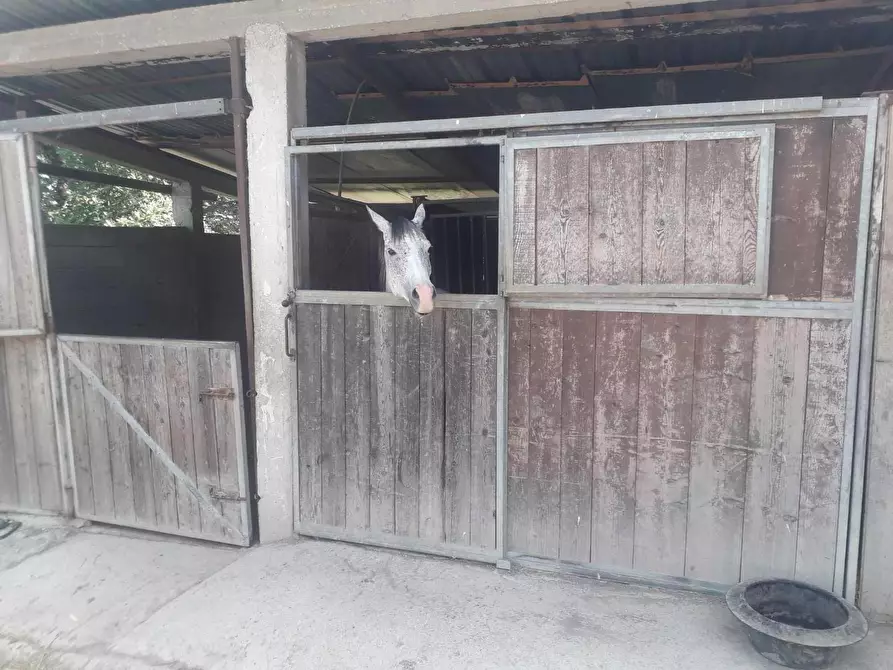 Immagine 2 di Rustico / casale in vendita  a Barberino Di Mugello