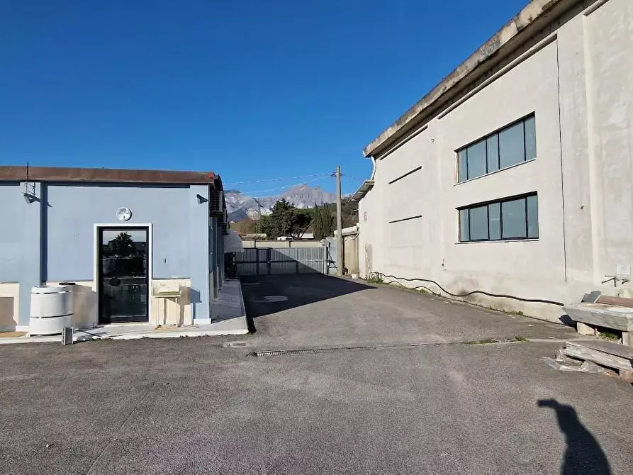 Immagine 5 di Capannone industriale in vendita  a Carrara