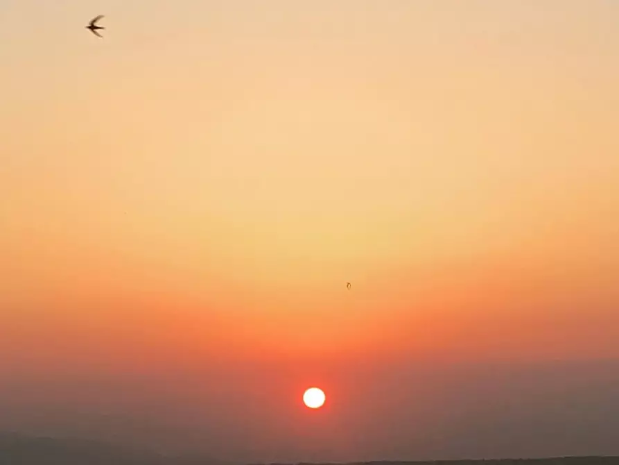 Immagine 32 di Appartamento in vendita  a San Miniato