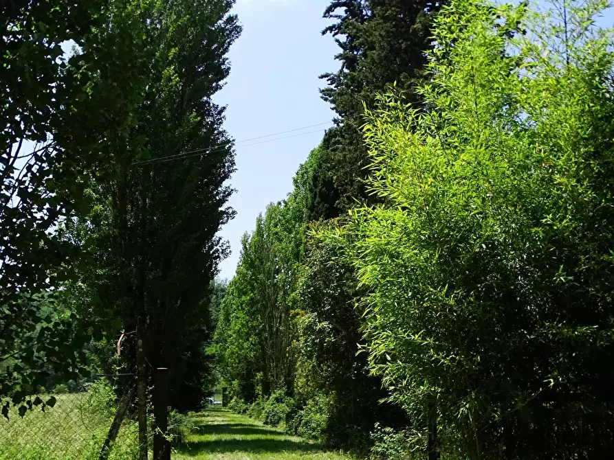 Immagine 30 di Casa colonica in vendita  a San Miniato